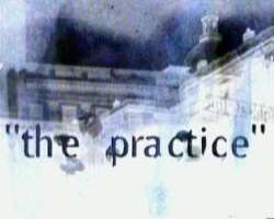 His work on TV legal drama The Practice in 2004 got positive reviews and for which he got nominated 6 times for NAACP Image Awards.